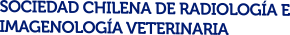 Logo Sochirav